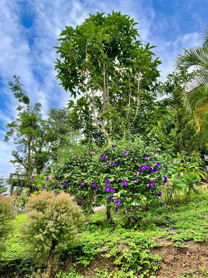 Tip House Villa Као Ко Екстериор снимка